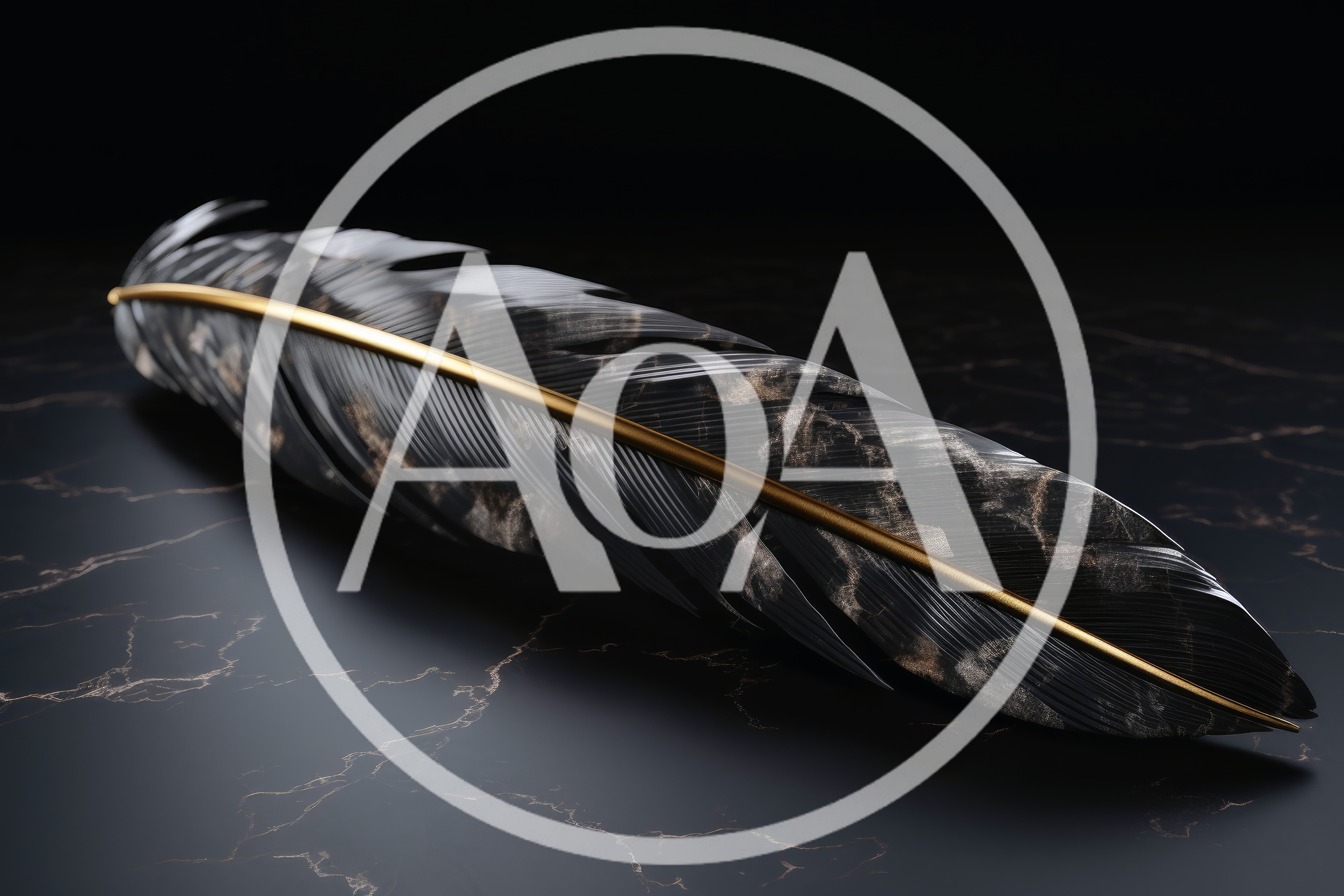 Black Marble Feather With Gold Spine On Dark Surface