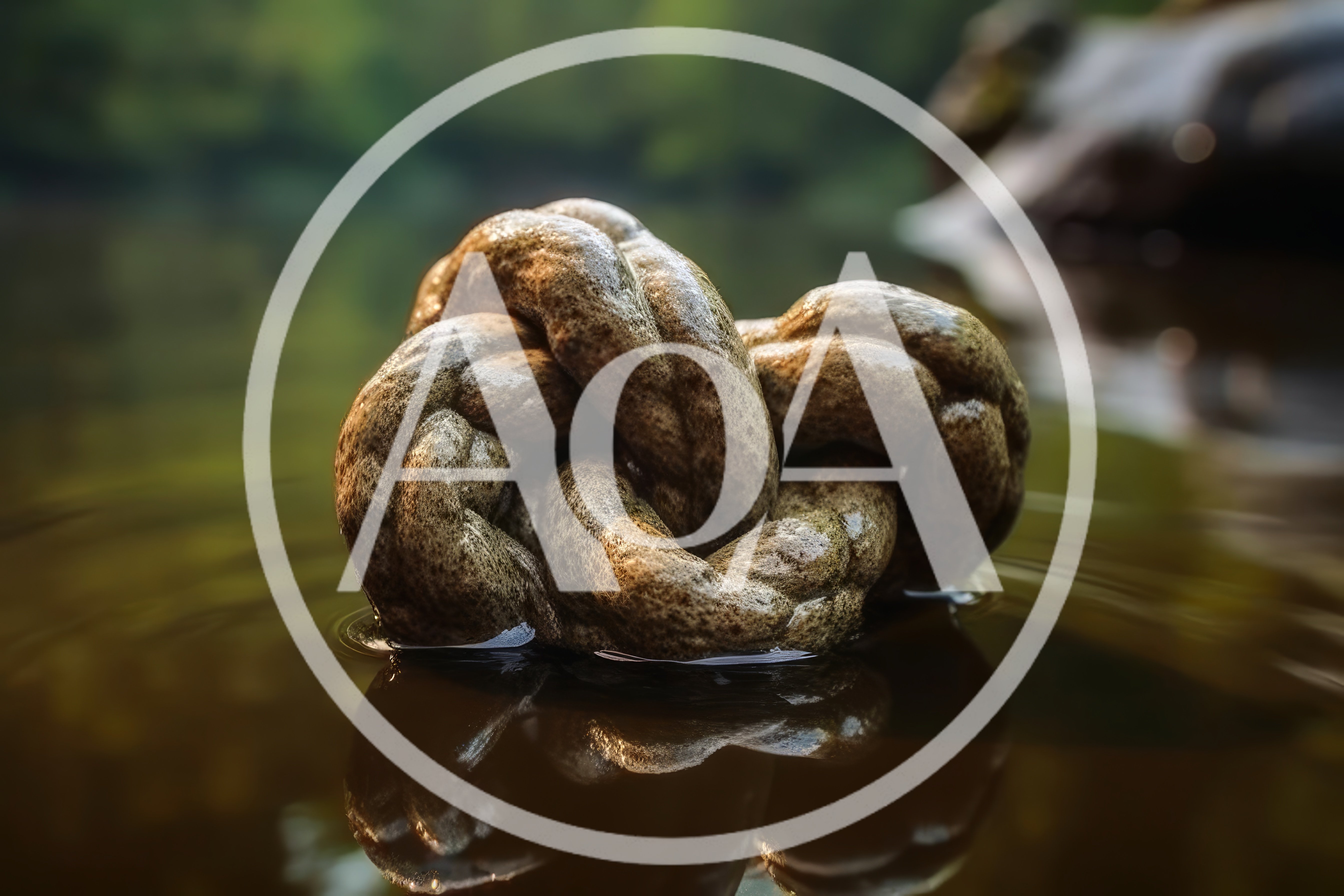 Knotted Stone Sculpture Floating In Calm Water