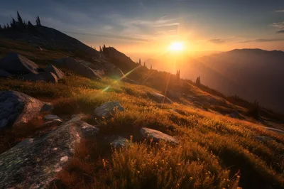 Golden Sunset Over Alpine Mountain Meadow