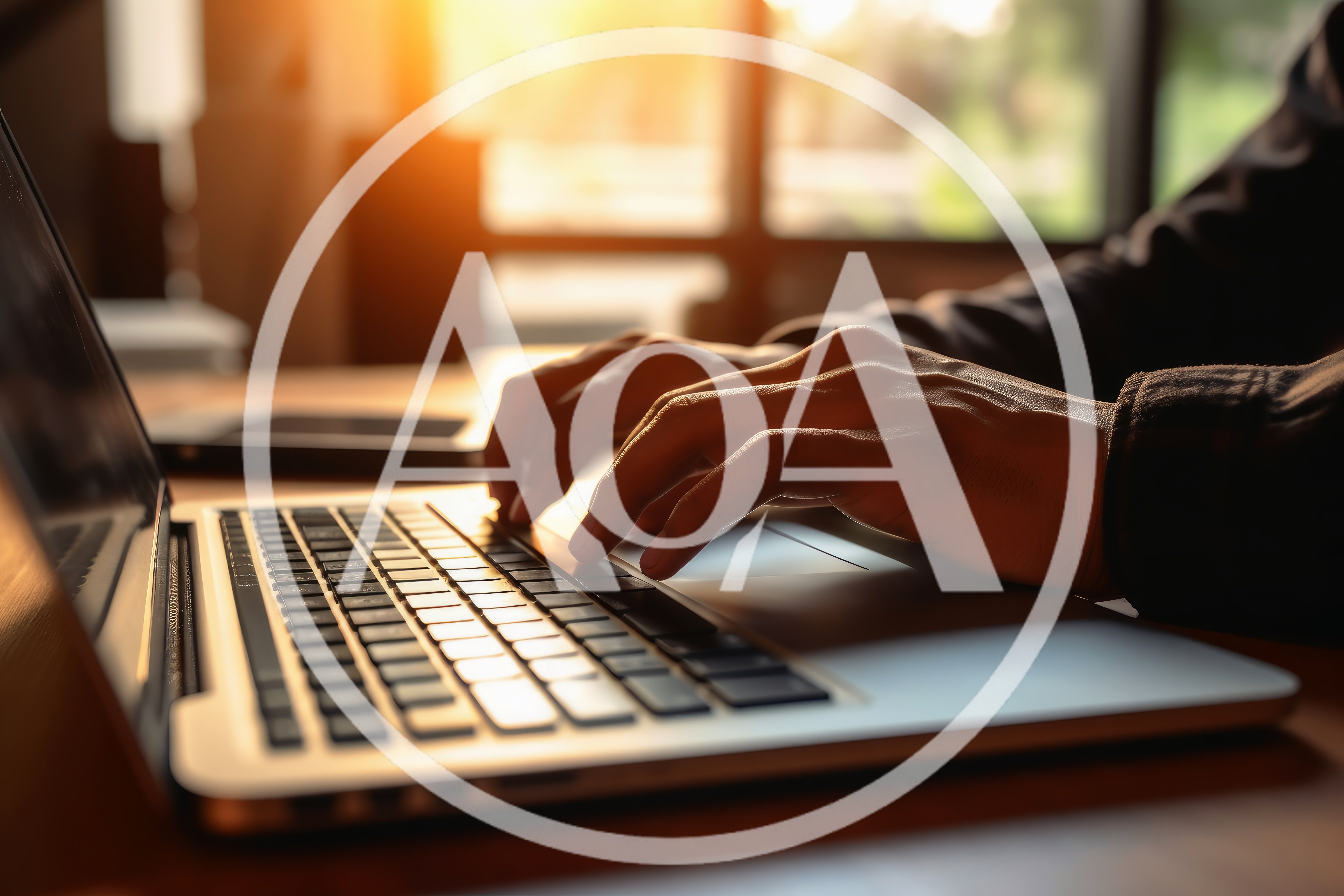 Person Typing On A Laptop In A Sunny Office