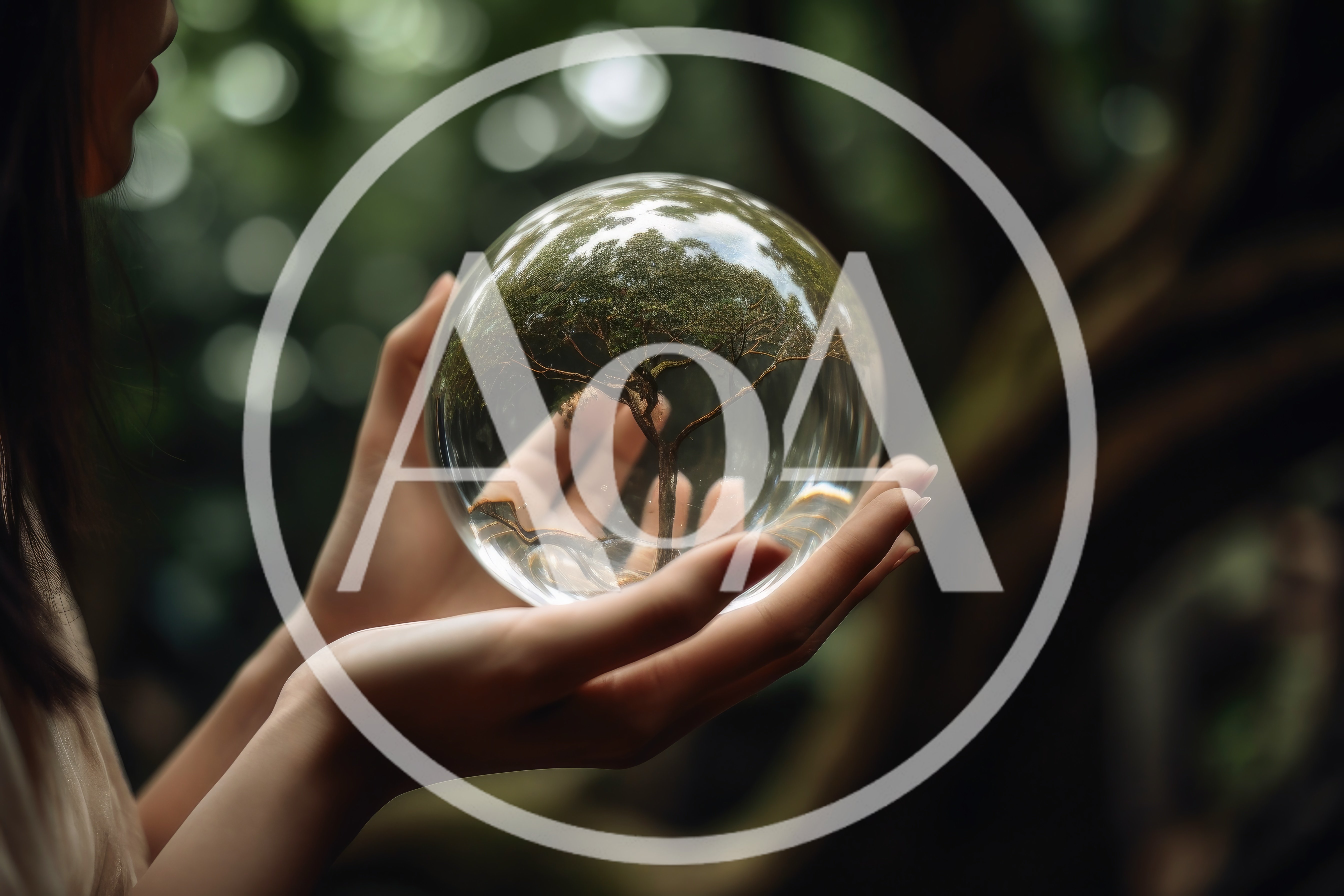 Person Holding A Glass Sphere Containing A Miniature Tree