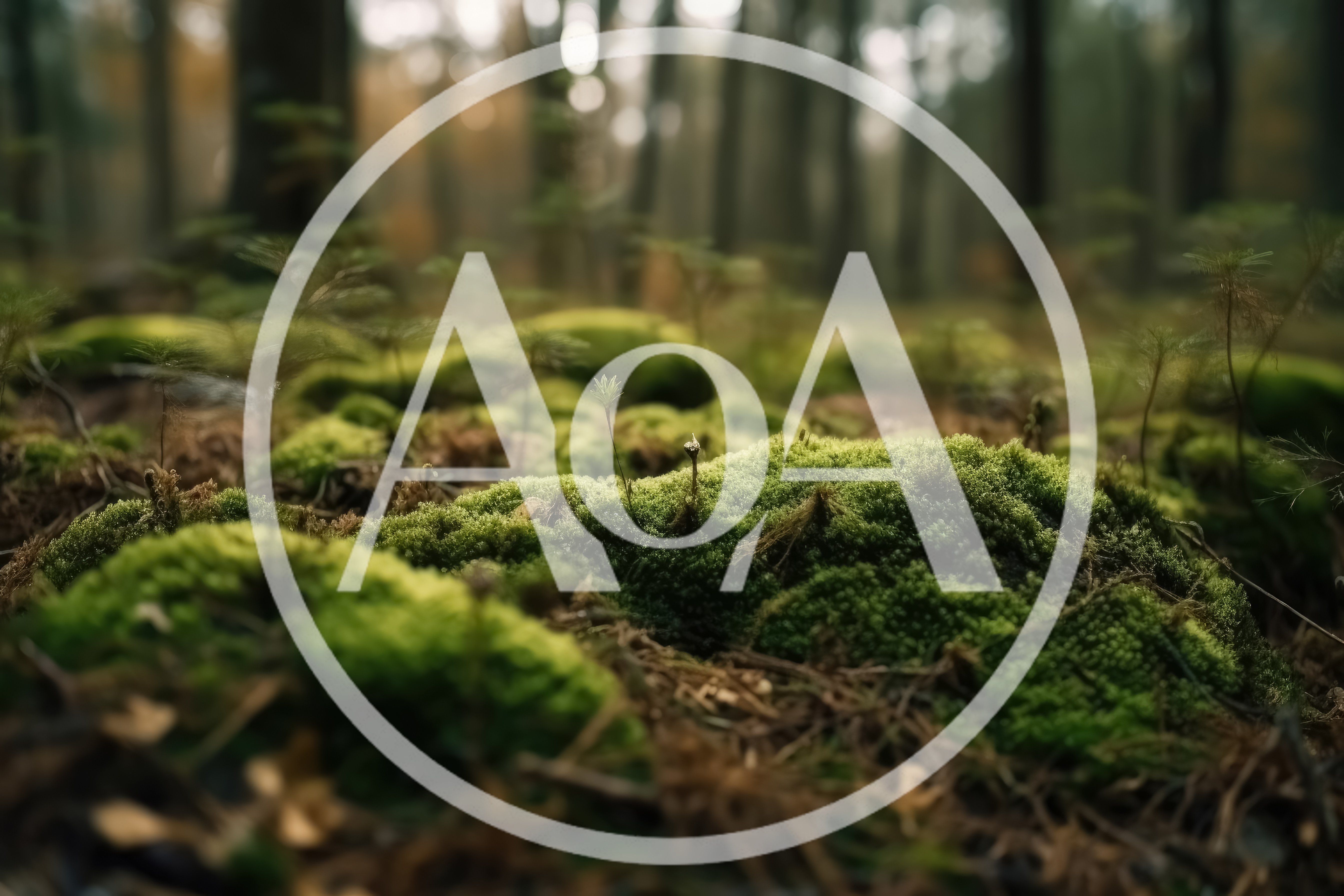 Close Up Of Vibrant Green Moss In Forest