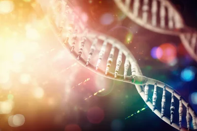 3D Rendered DNA Double Helix Structure