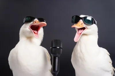 Two Funny Ducks Singing Into A Microphone
