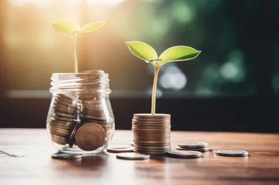 Small Green Plants Growing From Stacks Of Coins