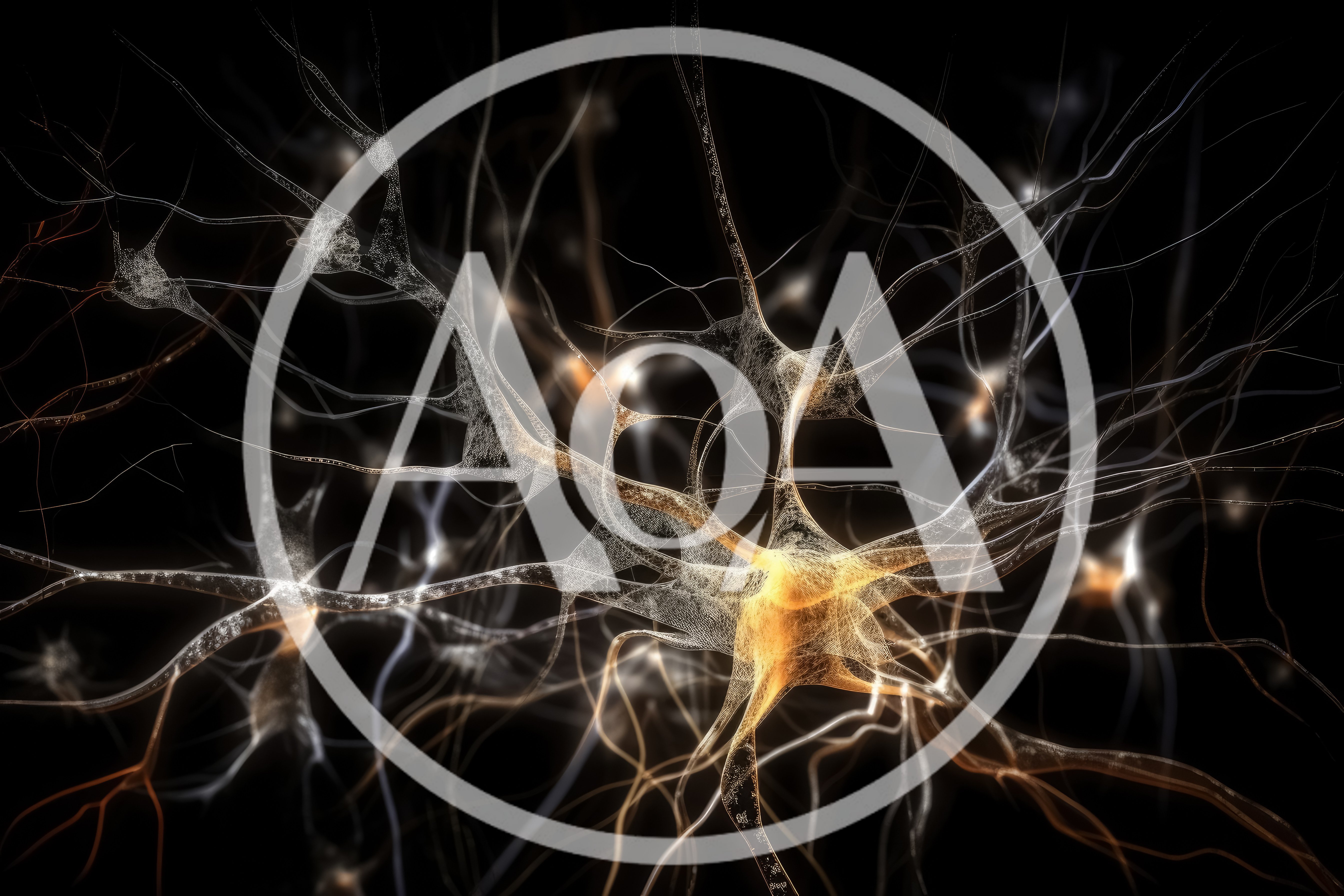 Neural Network Synaptic Connections In Human Brain