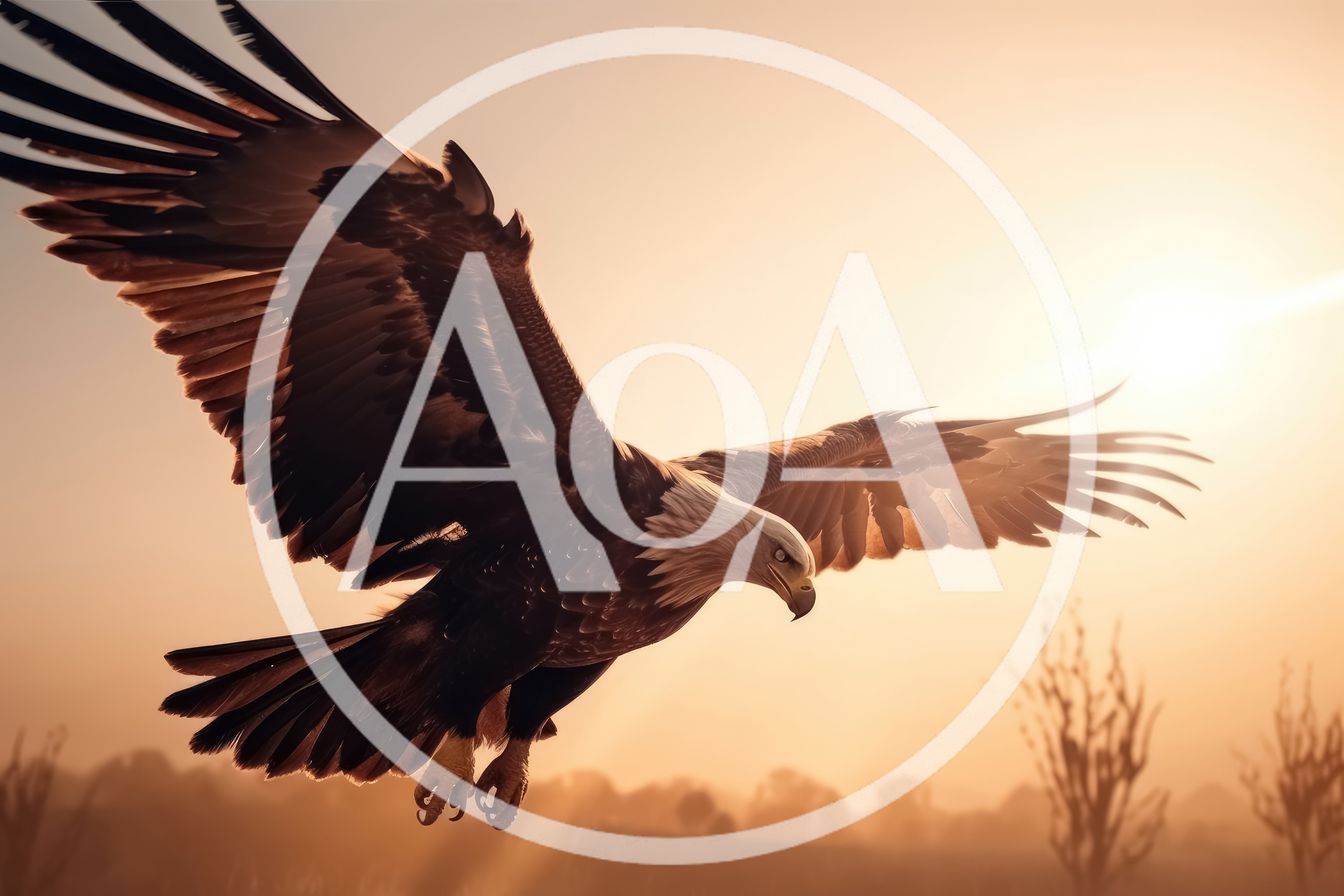 Bald Eagle Soaring Through Golden Sunset Sky