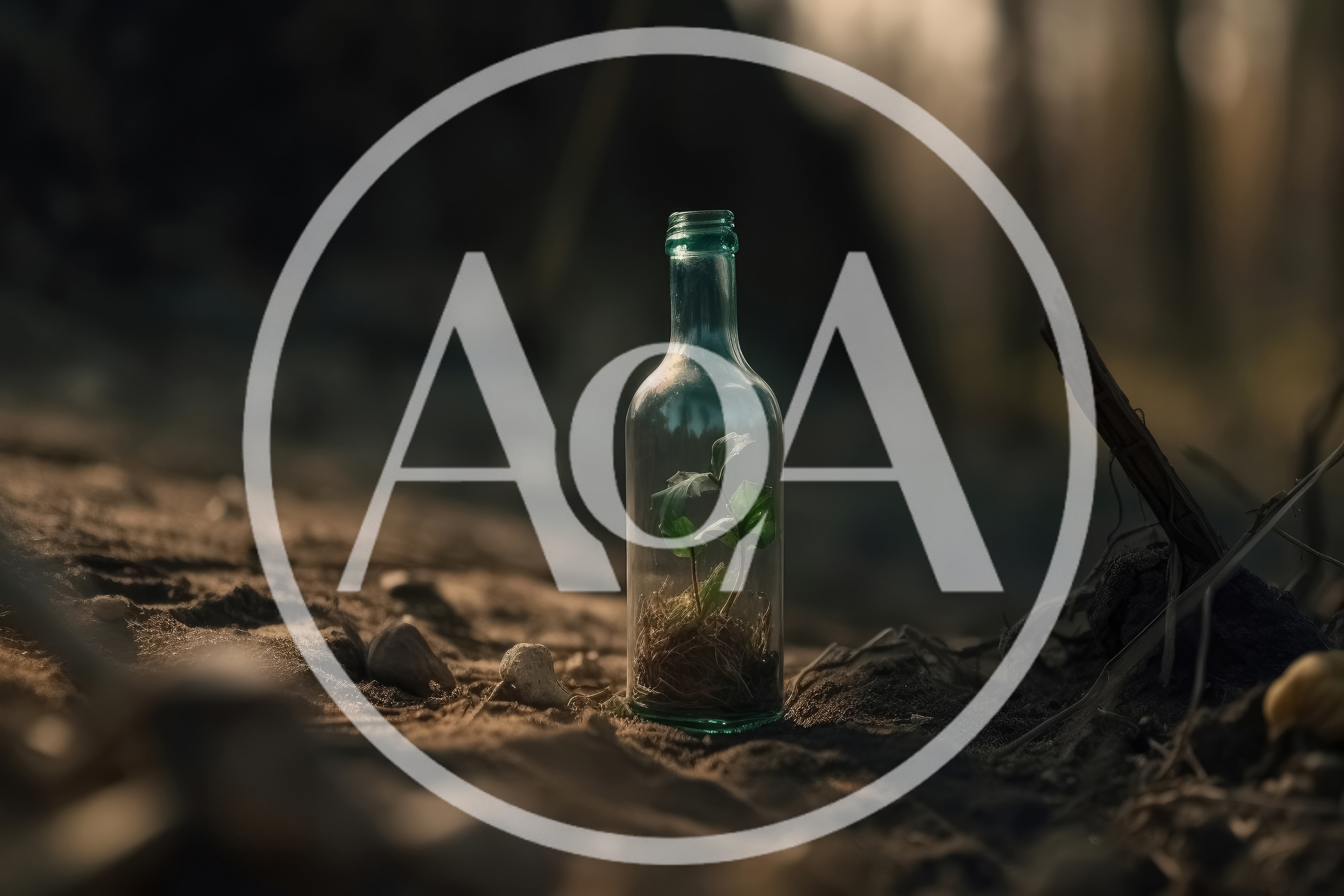 Small Green Plant Growing Inside A Glass Bottle