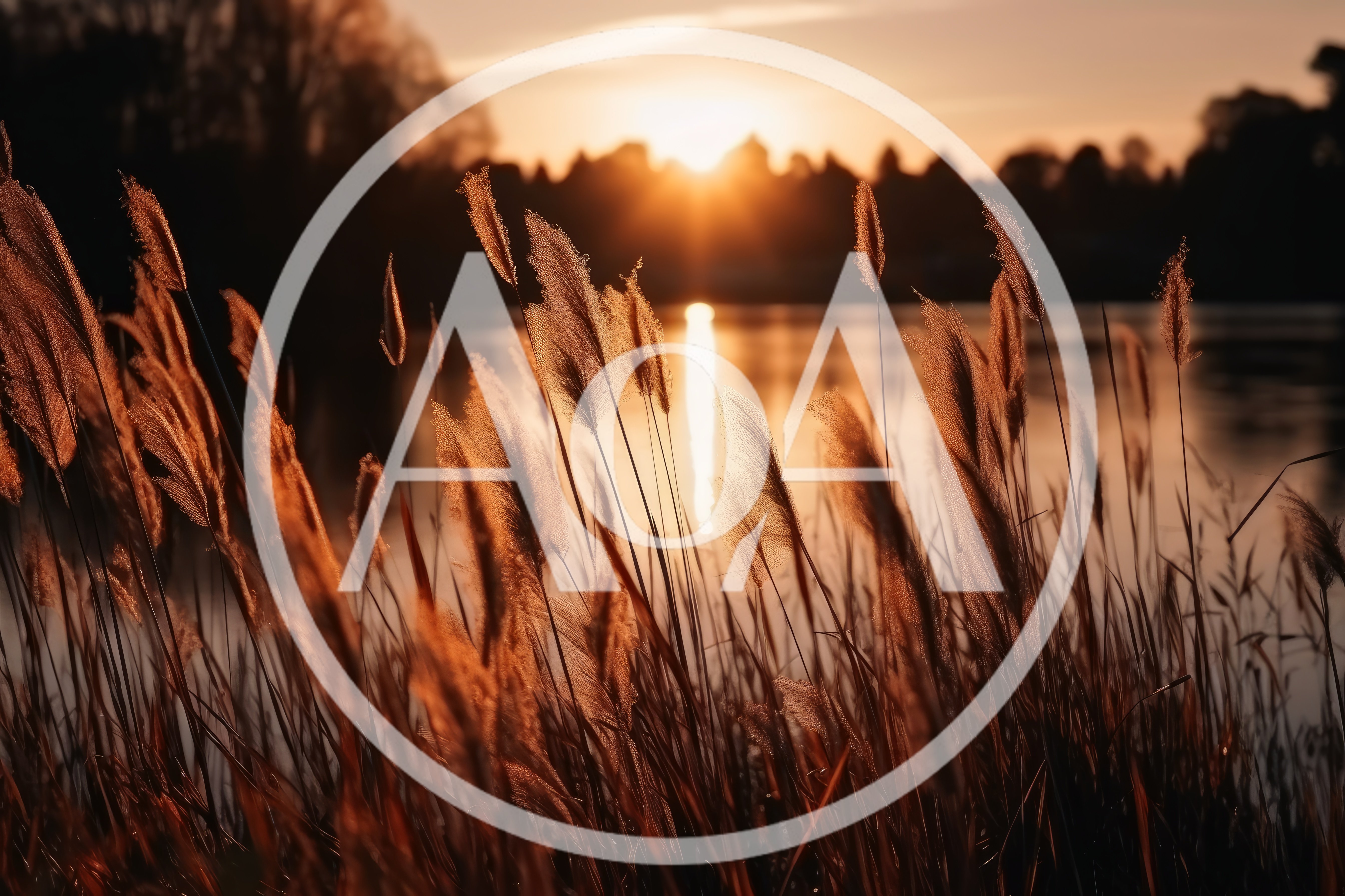 Golden Reeds Swaying By A Calm Lake At Sunset