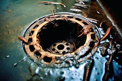 Clogged And Dirty Kitchen Sink Drain
