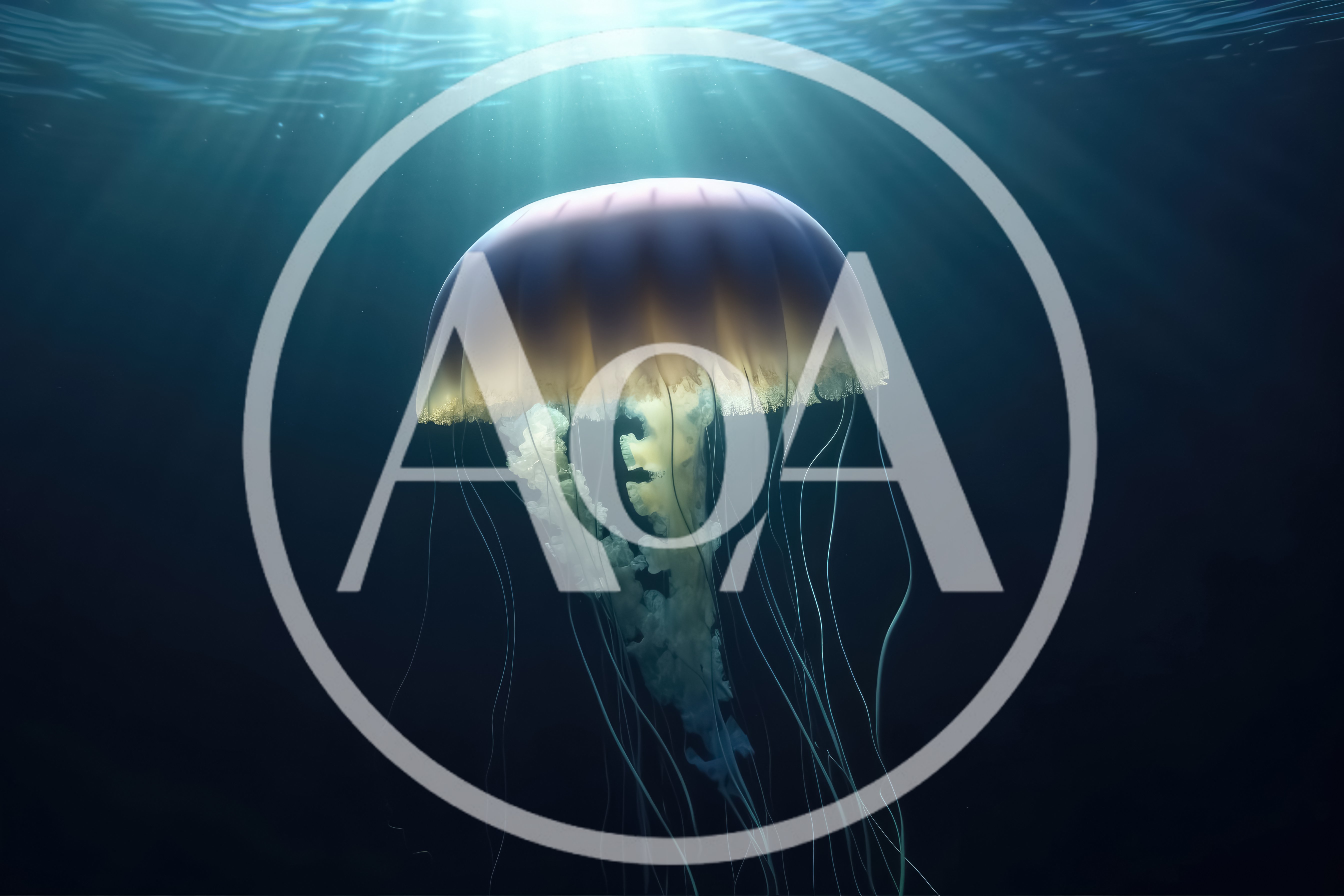 Glowing Jellyfish Swimming In Deep Ocean Waters
