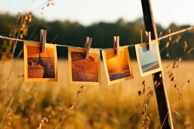 Four Polaroid Photos Hanging On A Clothesline In Nature