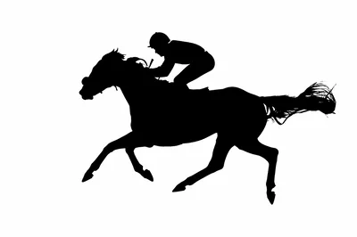 Silhouette Of A Jockey Riding A Racing Horse