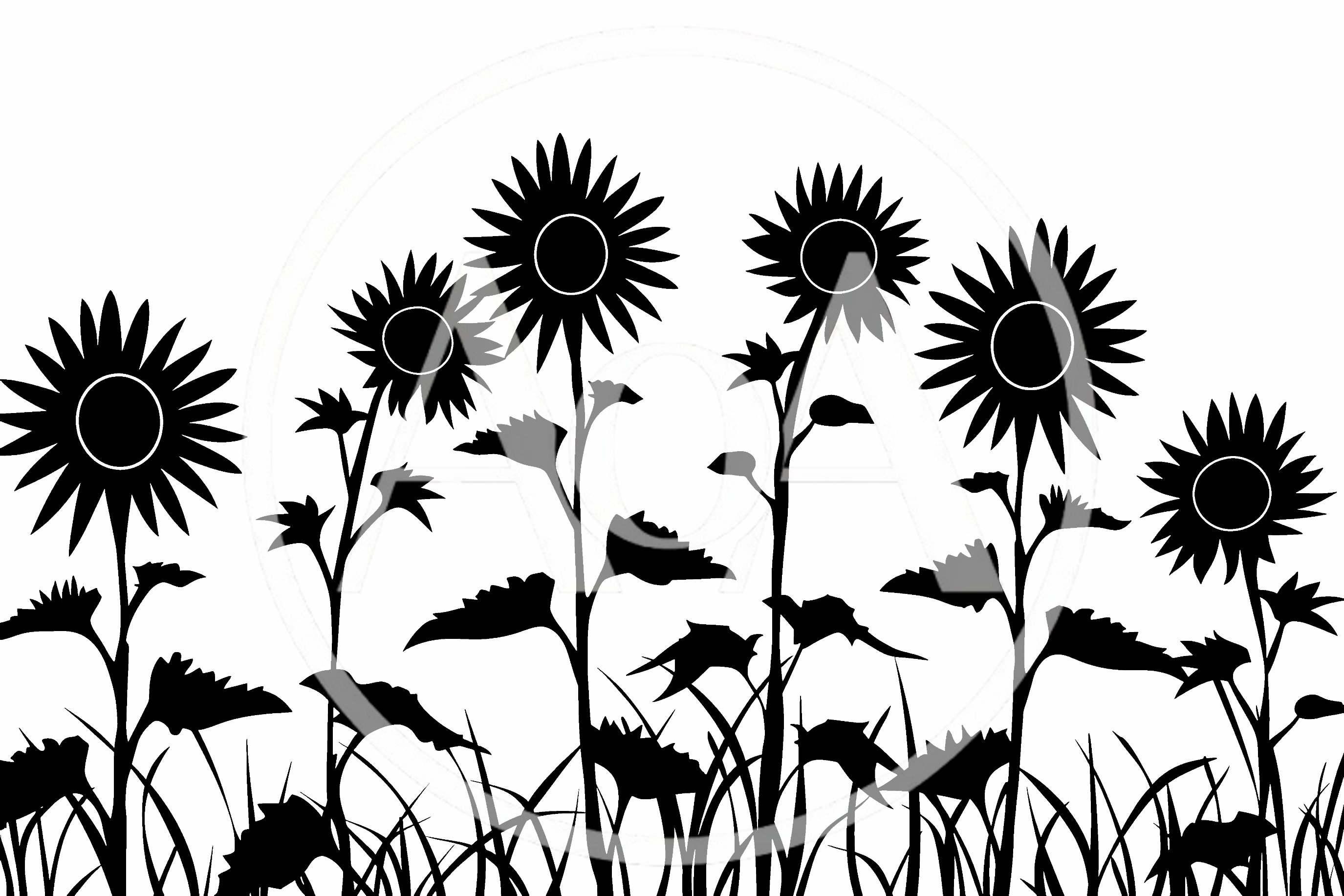 Black Silhouette Of Sunflowers In A Field