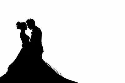Silhouette Of A Bride And Groom Embracing