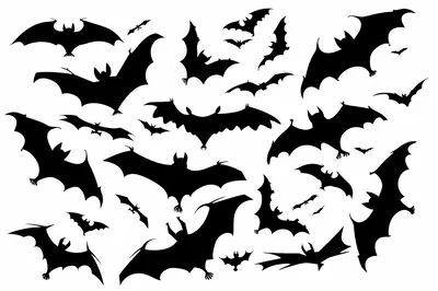 Collection Of Flying Bat Silhouettes On White Background