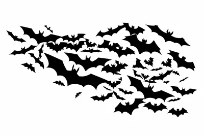 Swarm Of Black Bats Flying In Silhouette