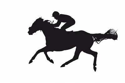 Silhouette Of A Jockey Riding A Racing Horse