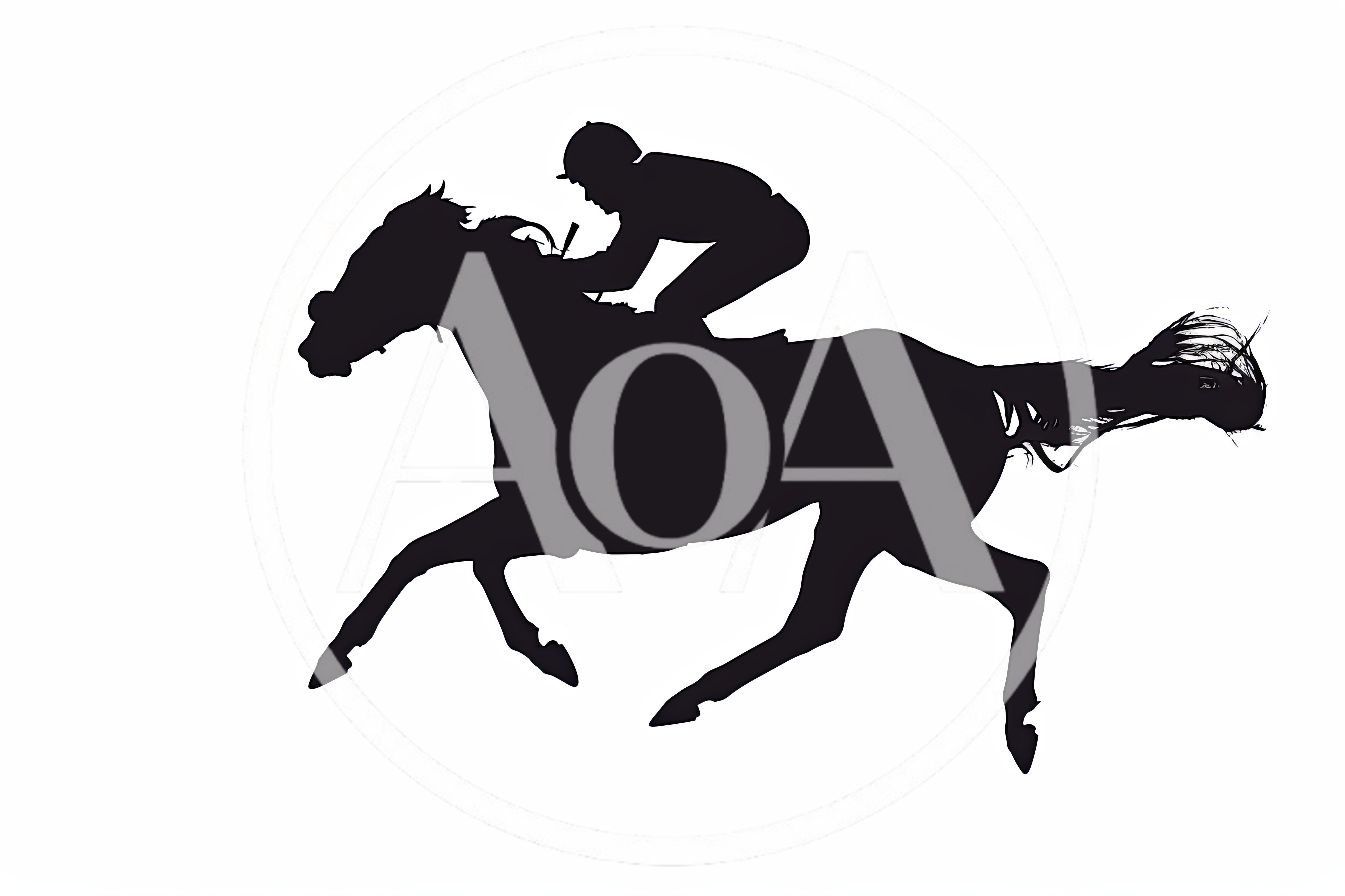 Silhouette Of A Jockey Riding A Racing Horse