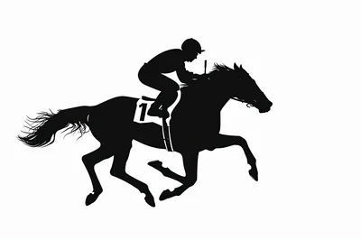 Silhouette Of A Jockey Riding A Racehorse