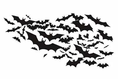 Swarm Of Black Silhouette Bats Flying