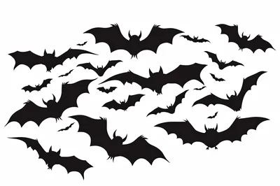 Collection Of Flying Bat Silhouettes On White Background