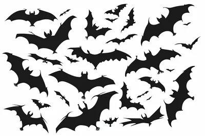 Collection Of Flying Bat Silhouettes On White Background
