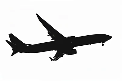 Silhouette Of A Commercial Airplane In Flight