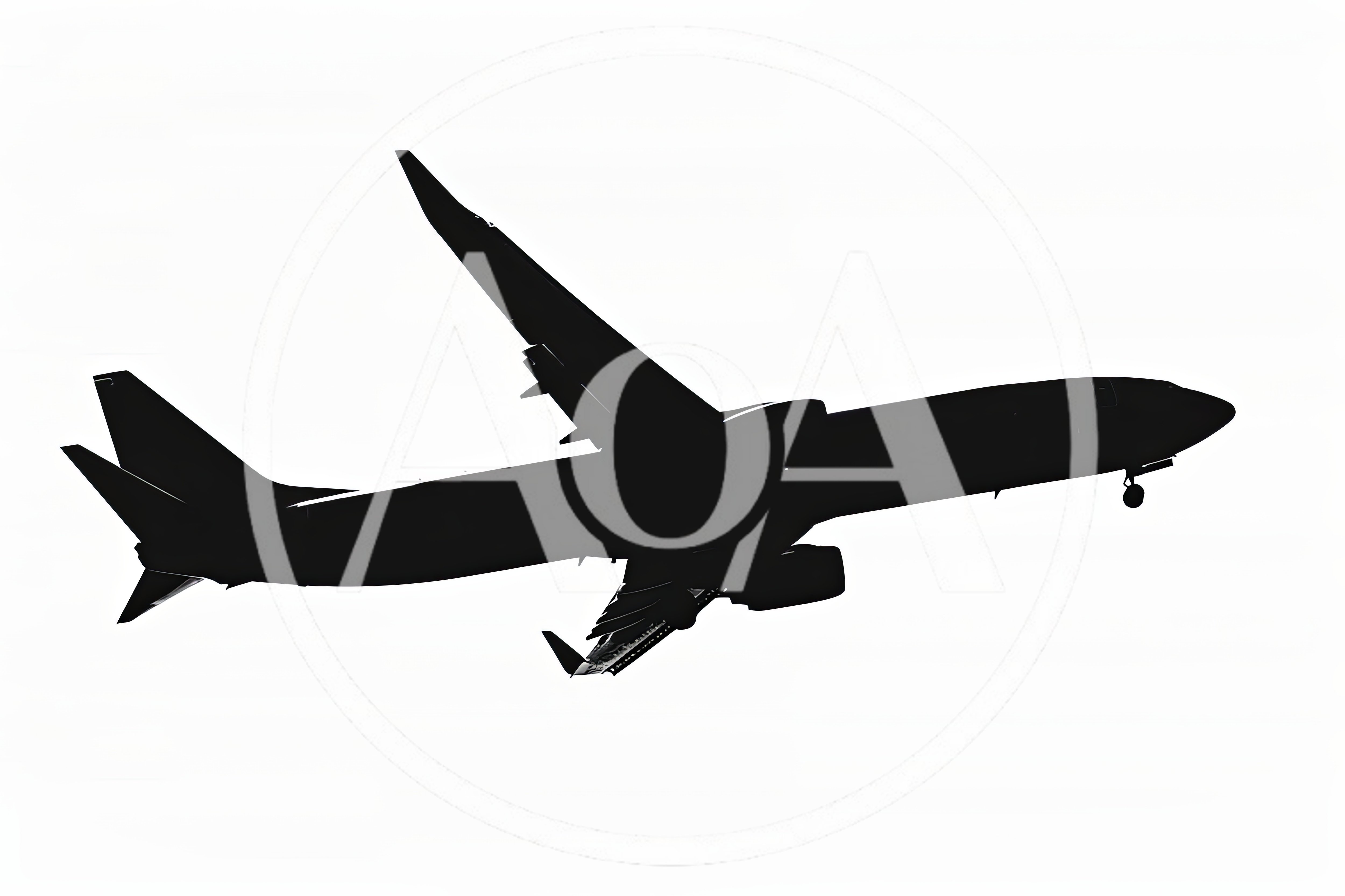 Silhouette Of A Commercial Airplane In Flight