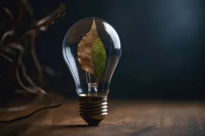 Half Green Half Brown Leaf Inside Light Bulb