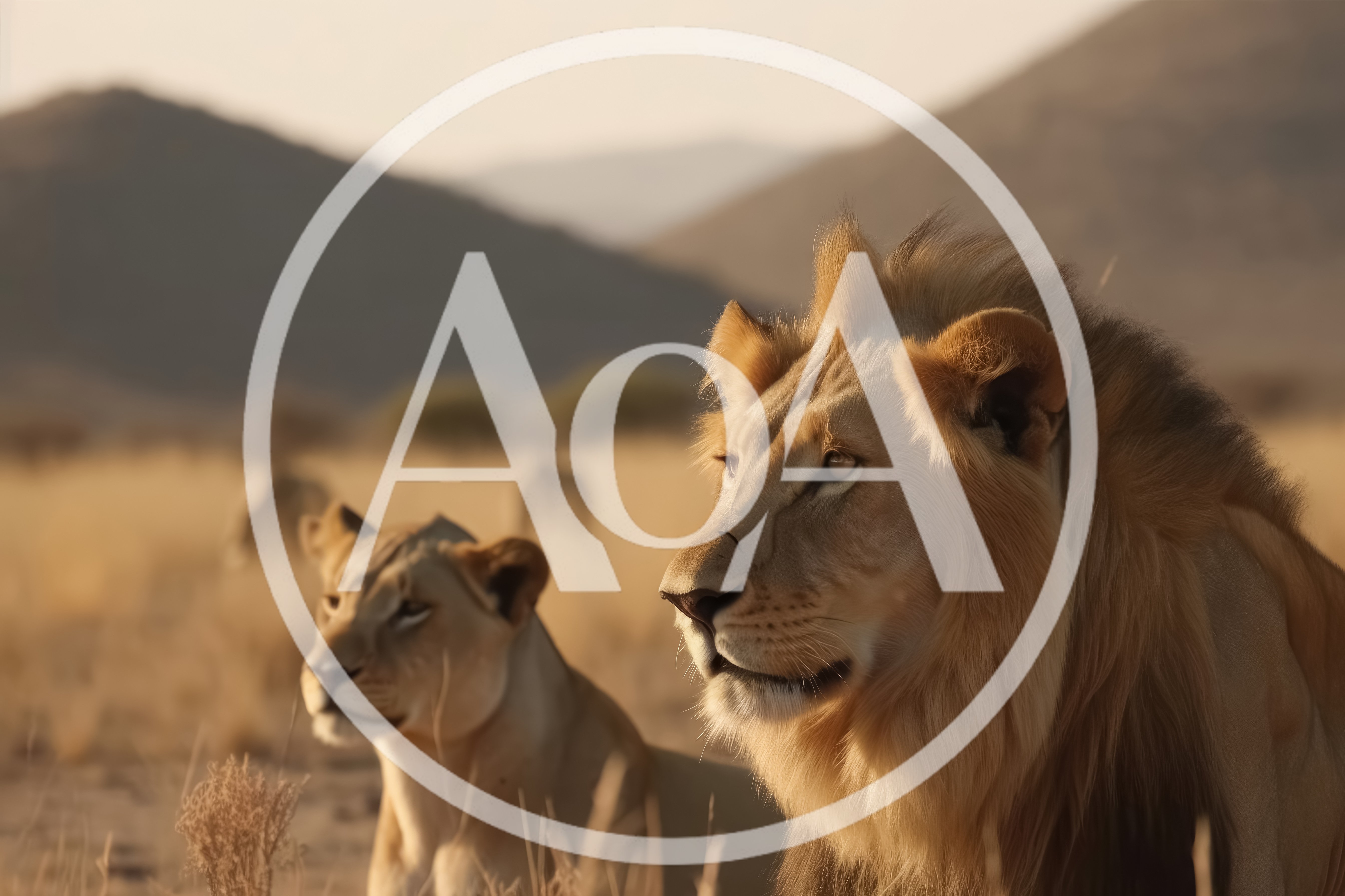 Majestic Lion and Lioness in African Savanna