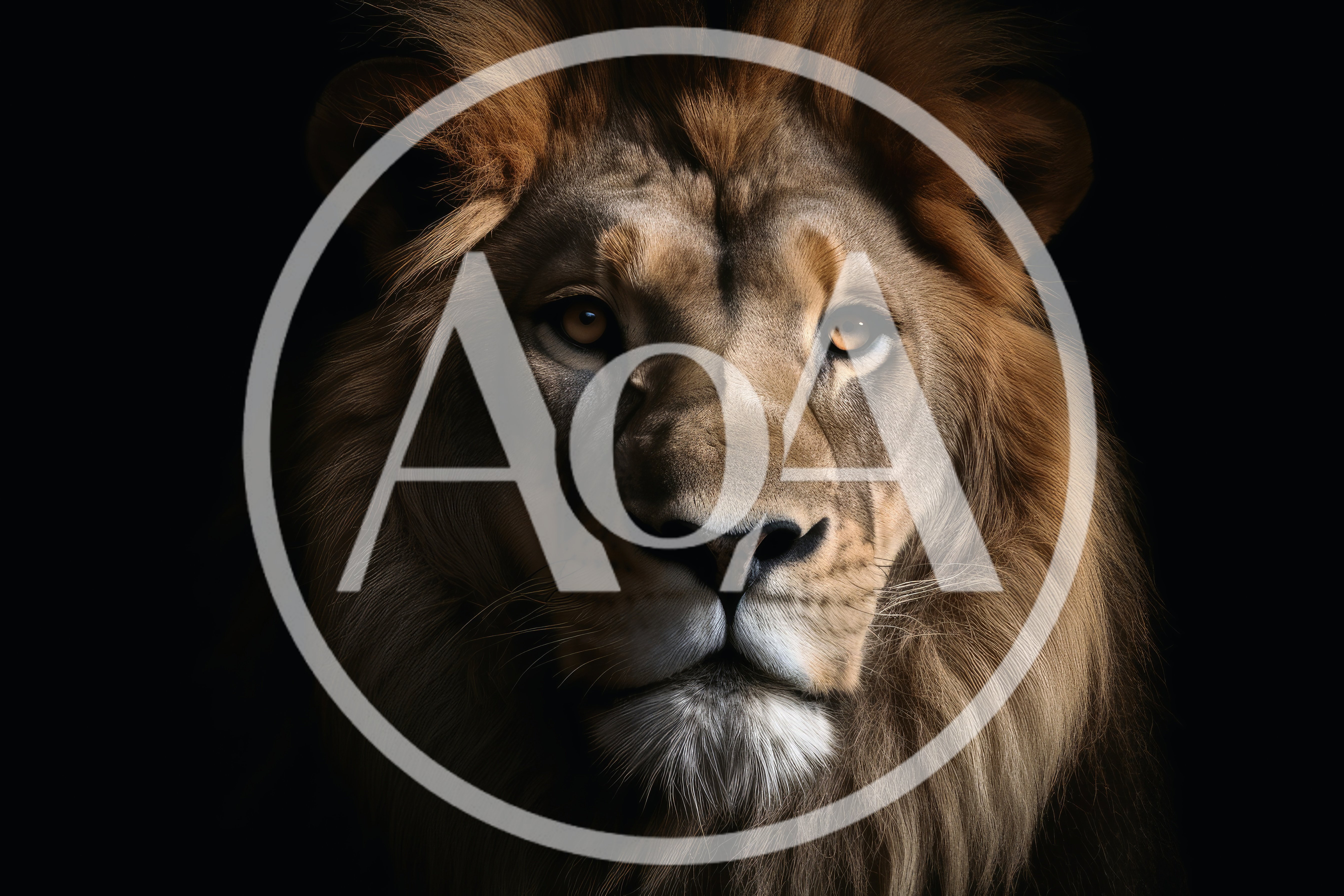 Majestic Male Lion Portrait Against Black Background