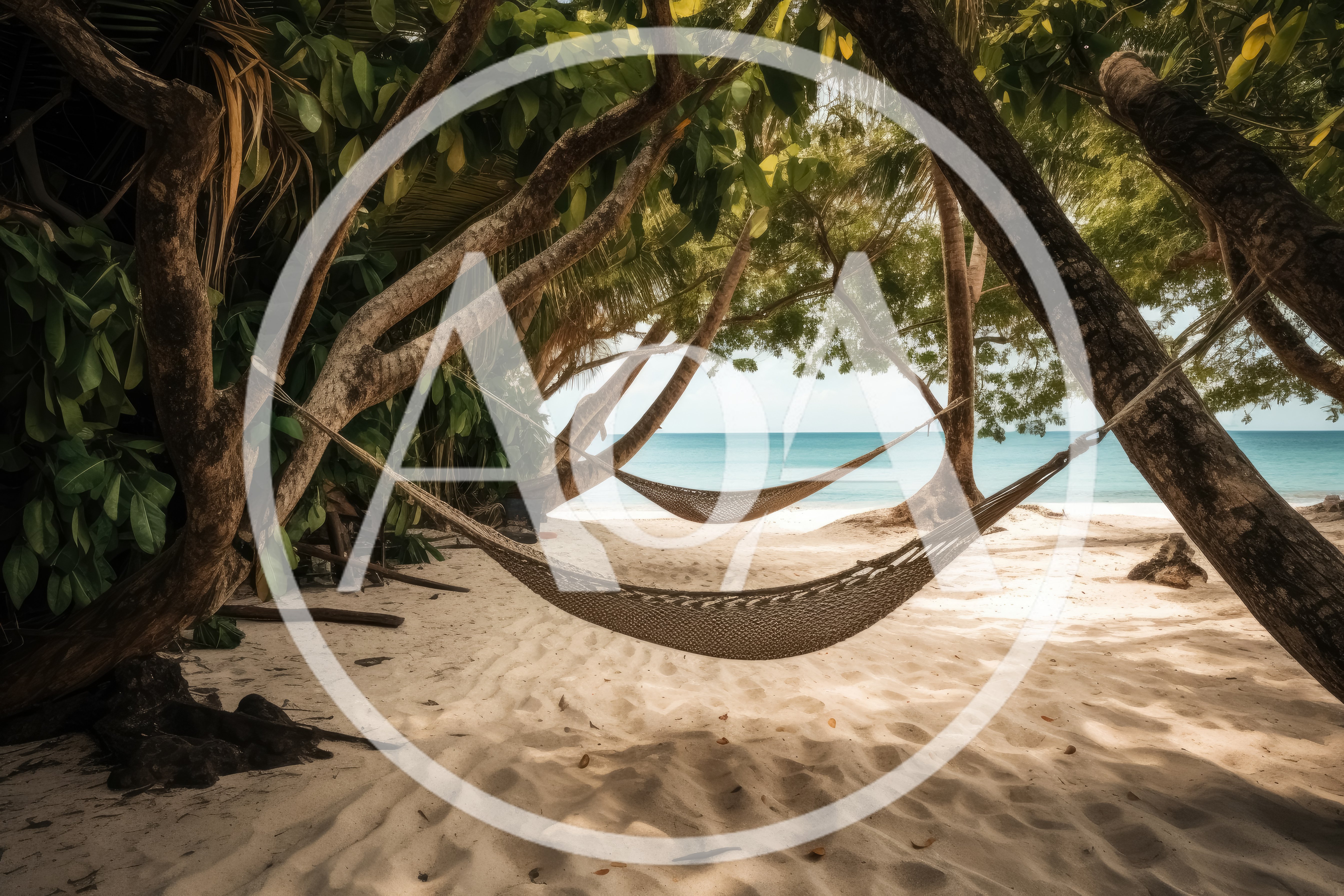 Two Empty Hammocks Hanging Between Tropical Trees On Beach