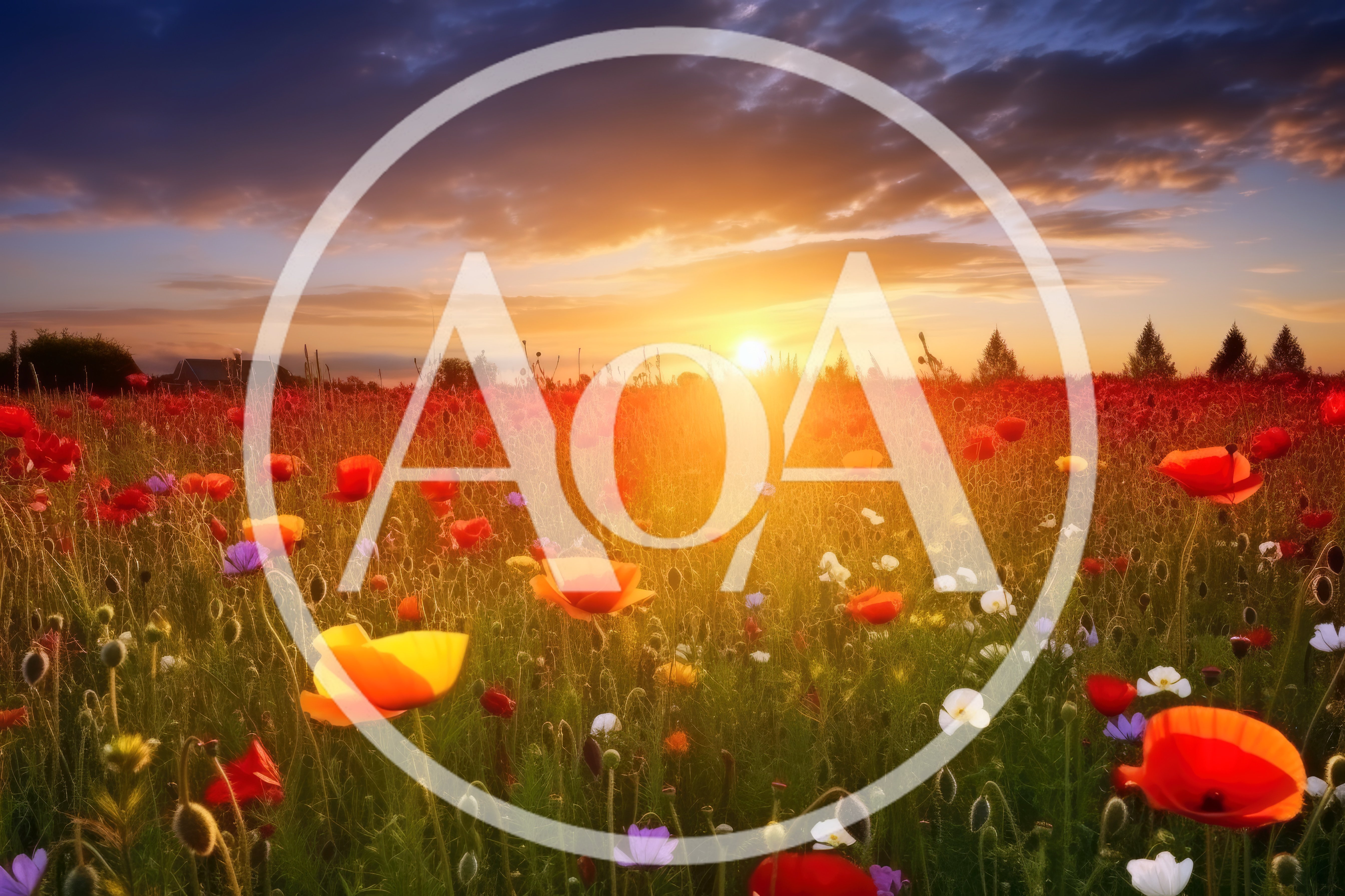 Vibrant Wildflower Meadow At Golden Hour Sunset