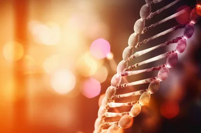 3D Rendered DNA Double Helix Structure