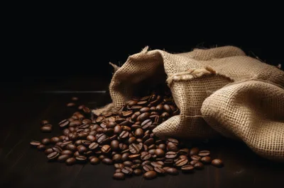 Roasted Coffee Beans Spilling From Burlap Sack