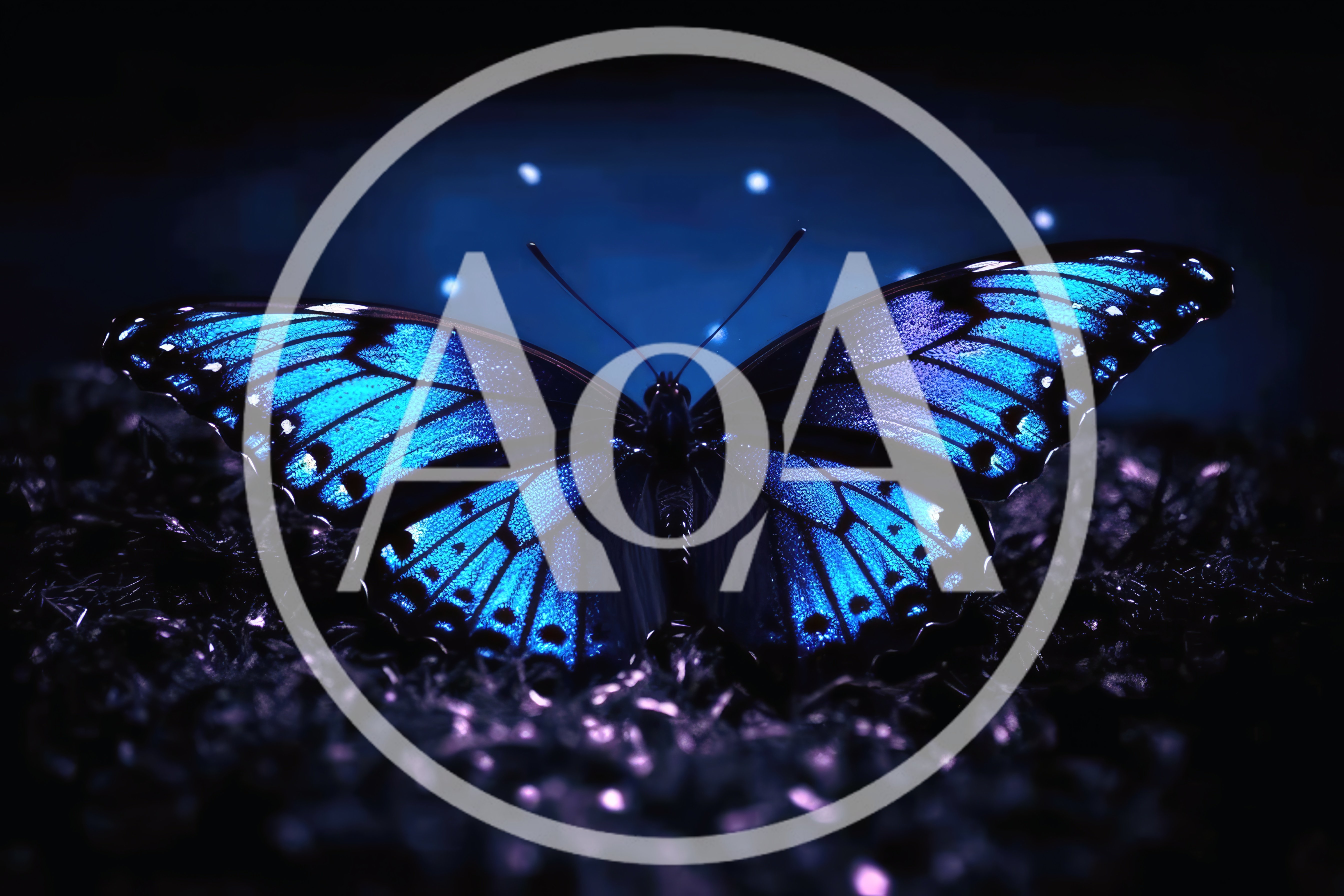 Vibrant Blue Butterfly Resting On Dark Textured Ground