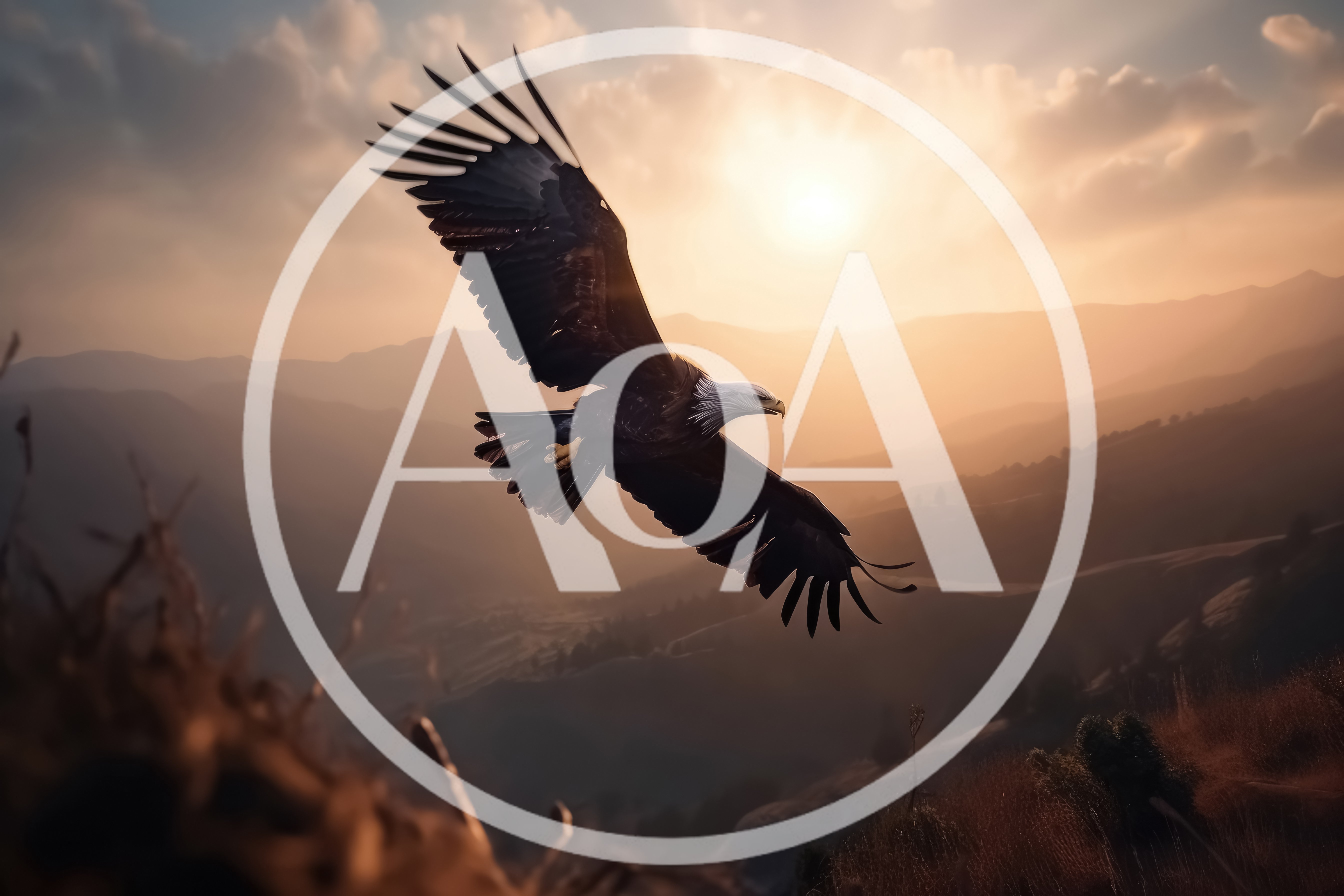 Bald Eagle Flying Over Mountain Landscape At Sunset