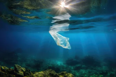 Plastic Bag Floating Underwater in Ocean
