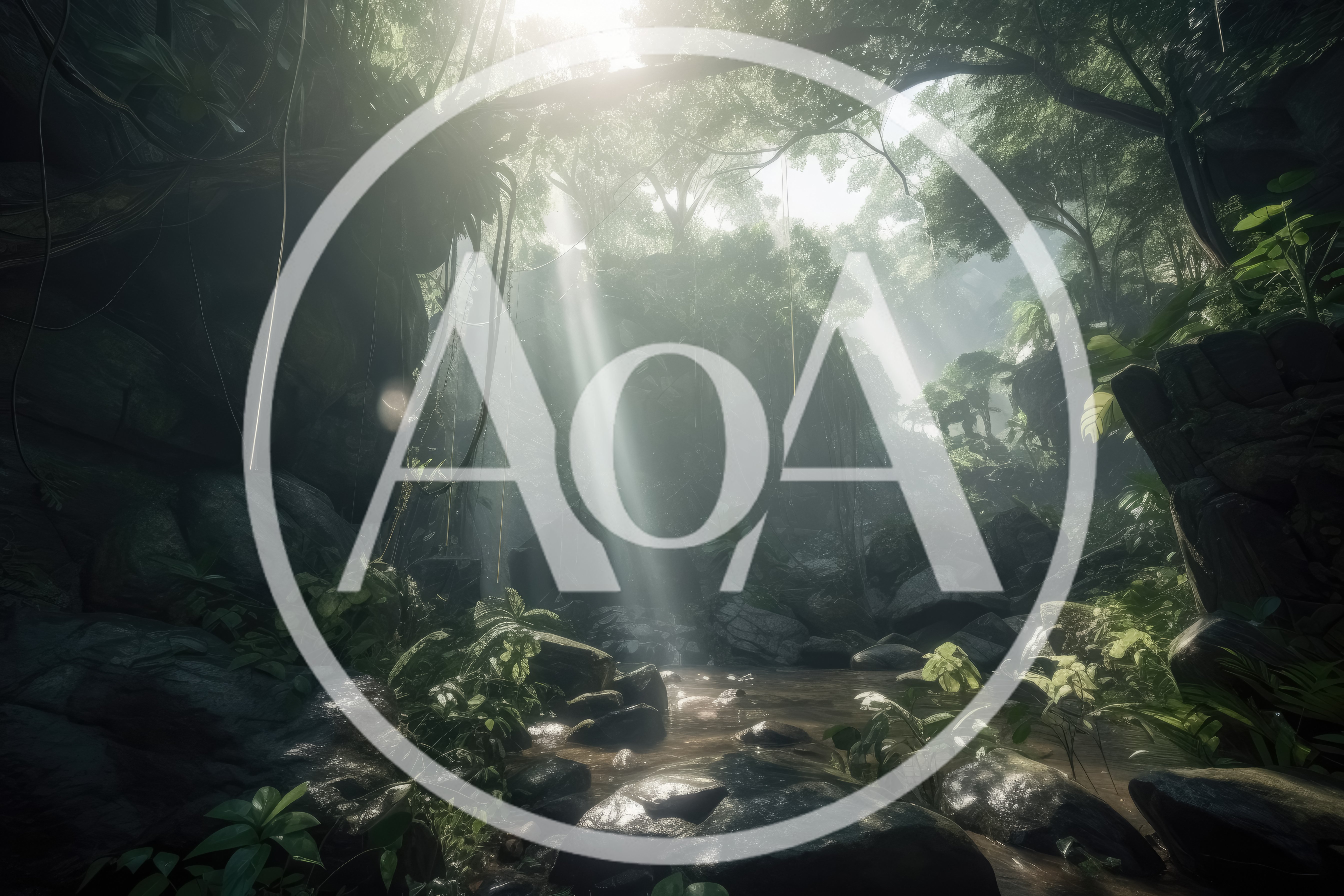 Sunlight Beams Through Dense Tropical Jungle Canopy