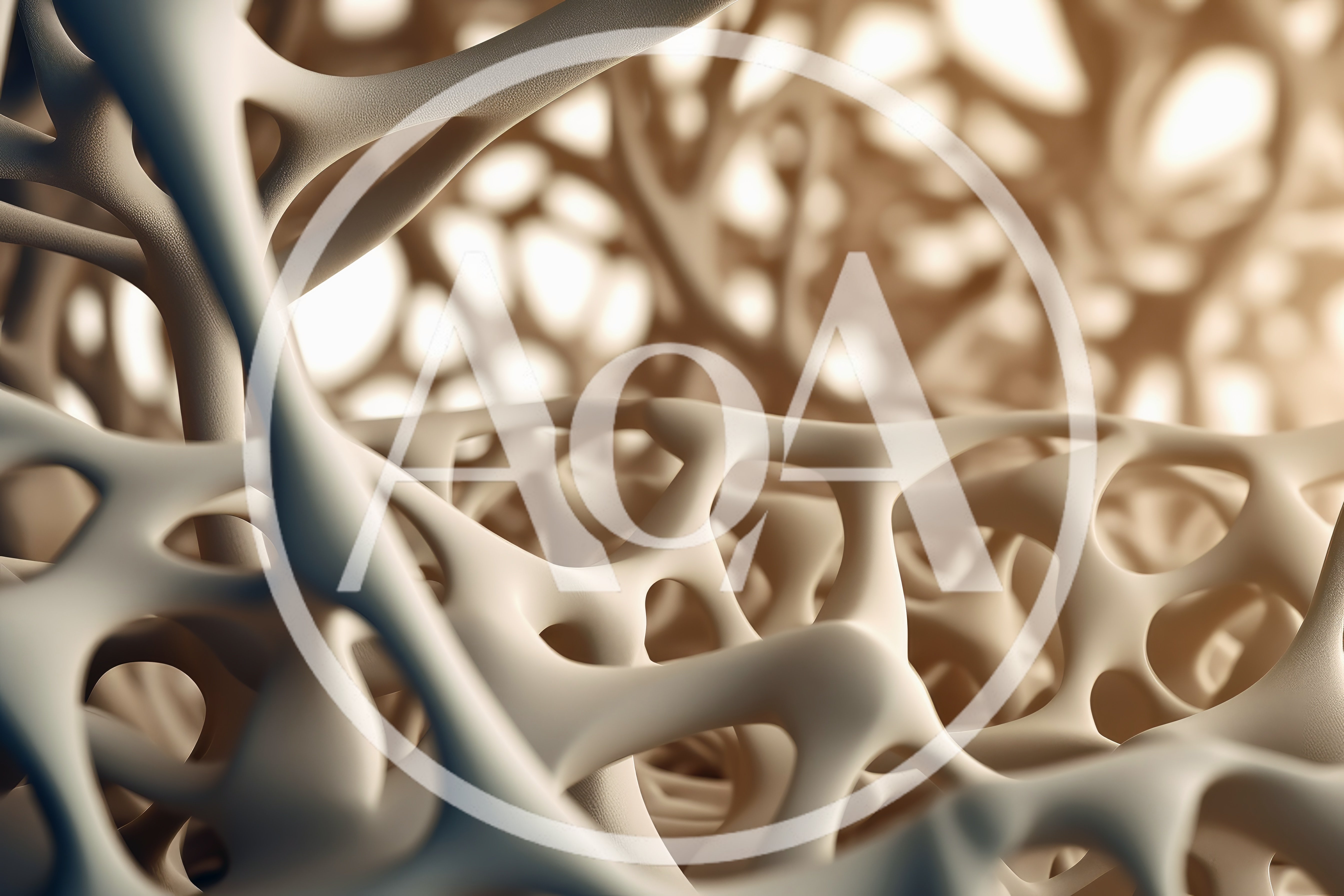 Microscopic View Of Human Cancellous Bone Structure