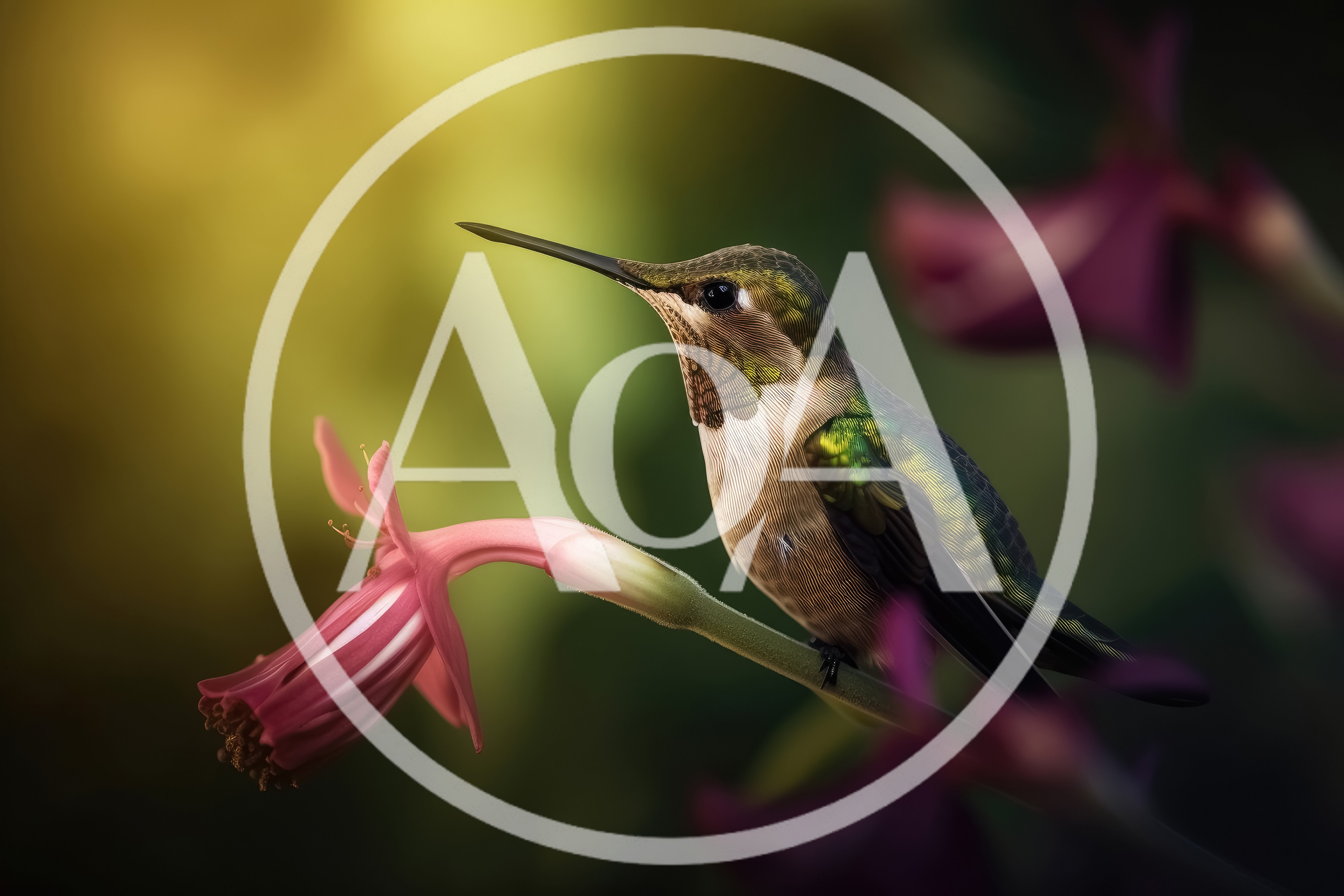 Ruby-Throated Hummingbird Perched On A Pink Flower