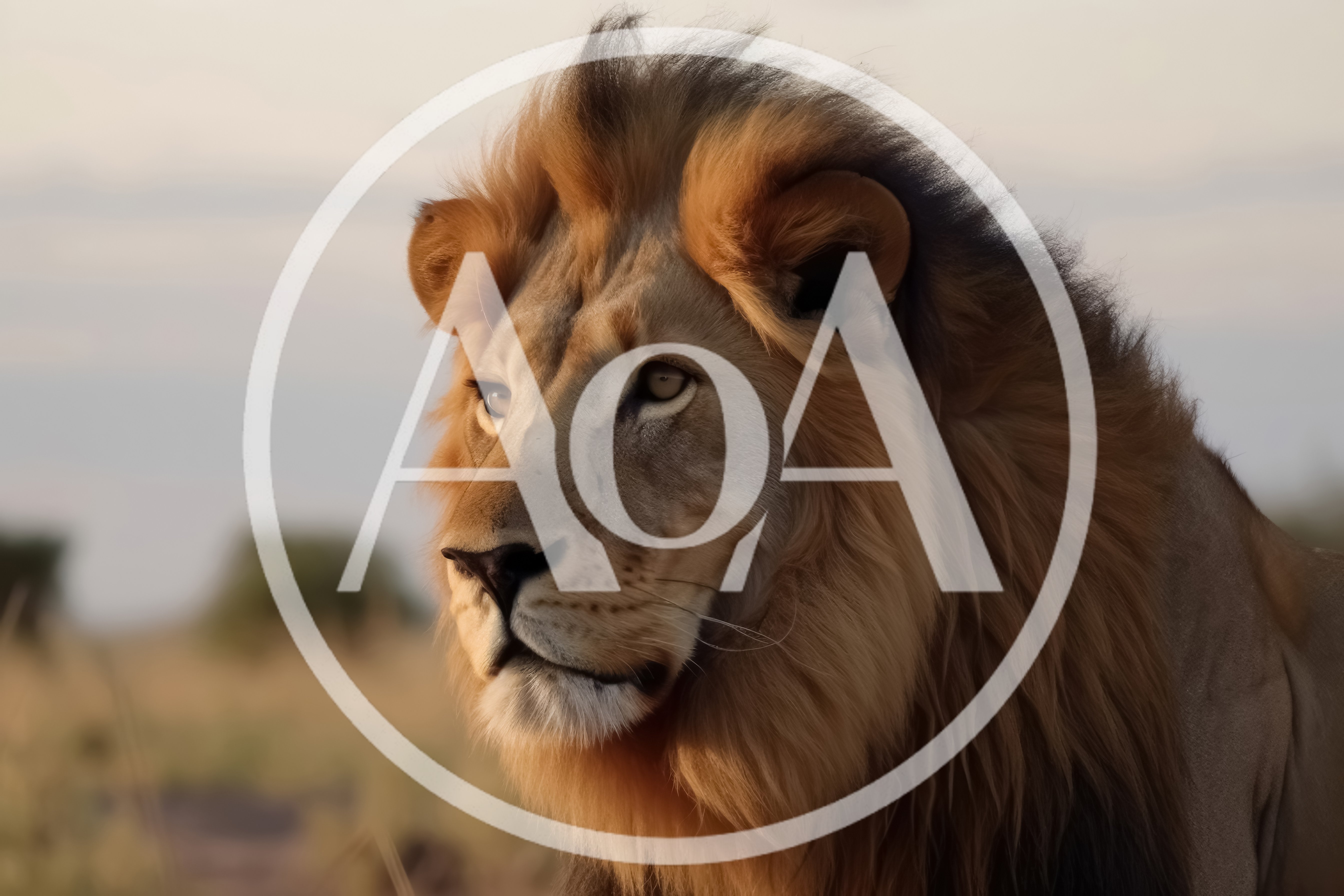 Majestic Male Lion Portrait In The African Savanna