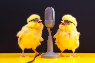 Two Cute Yellow Chicks Singing Into A Vintage Microphone