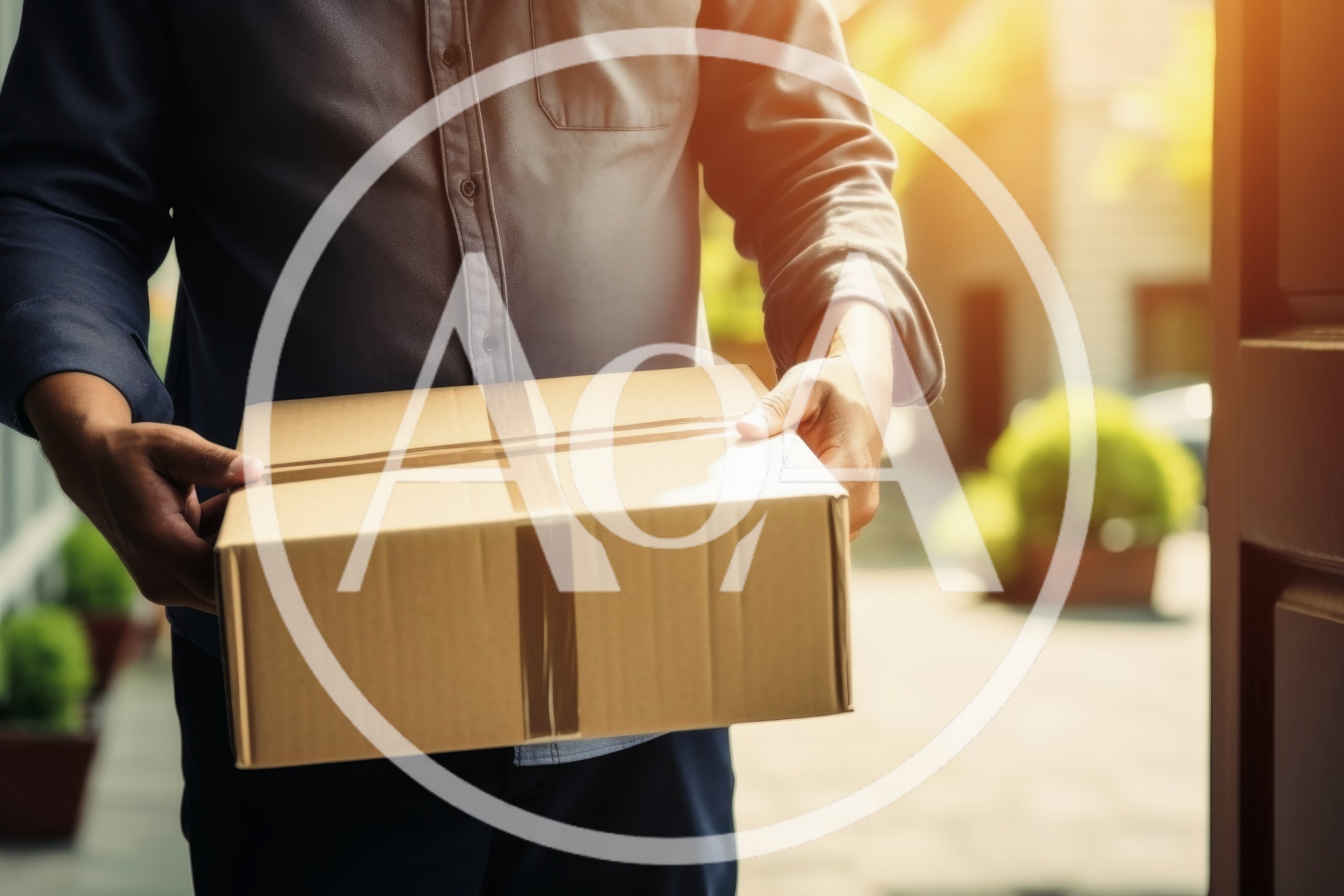 Delivery Person Holding A Cardboard Package At Doorstep