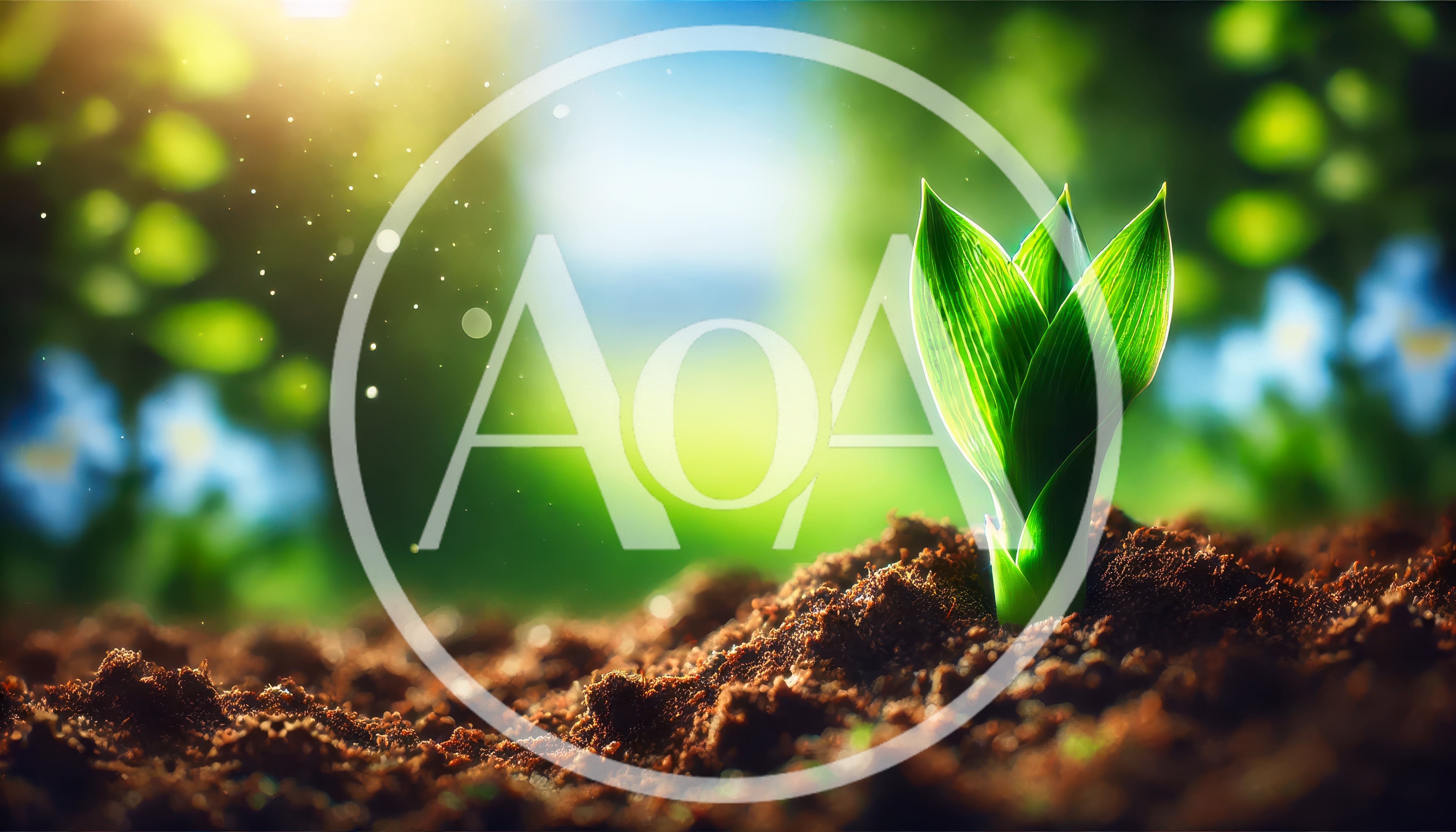 Small Green Sprout Growing From Fertile Soil