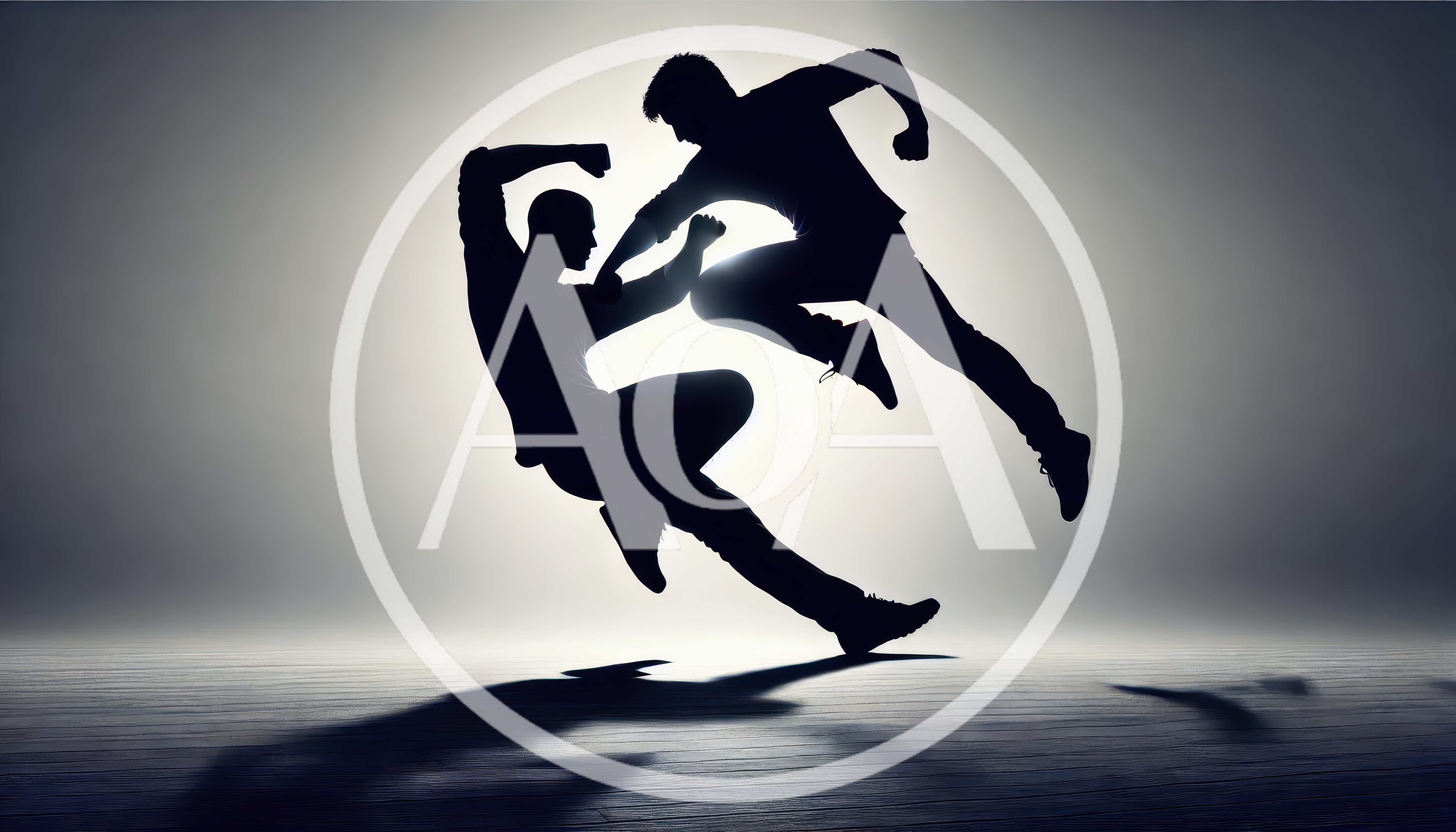 Silhouetted Men Engaged In Dynamic Martial Arts Combat