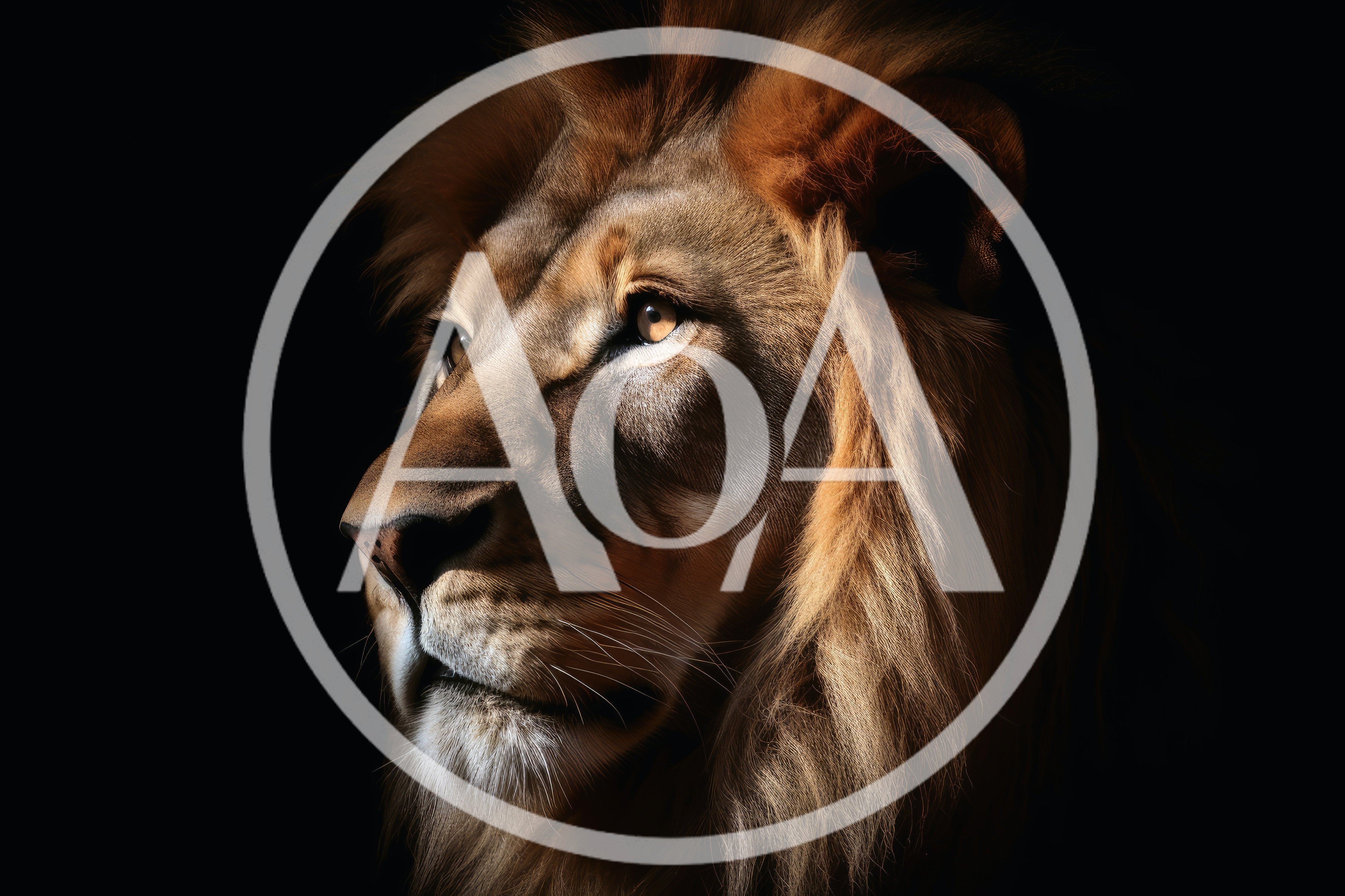 Majestic Lion Portrait Against A Dark Background