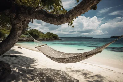 Empty Hammock Hanging Between Tropical Trees On Sandy Beach