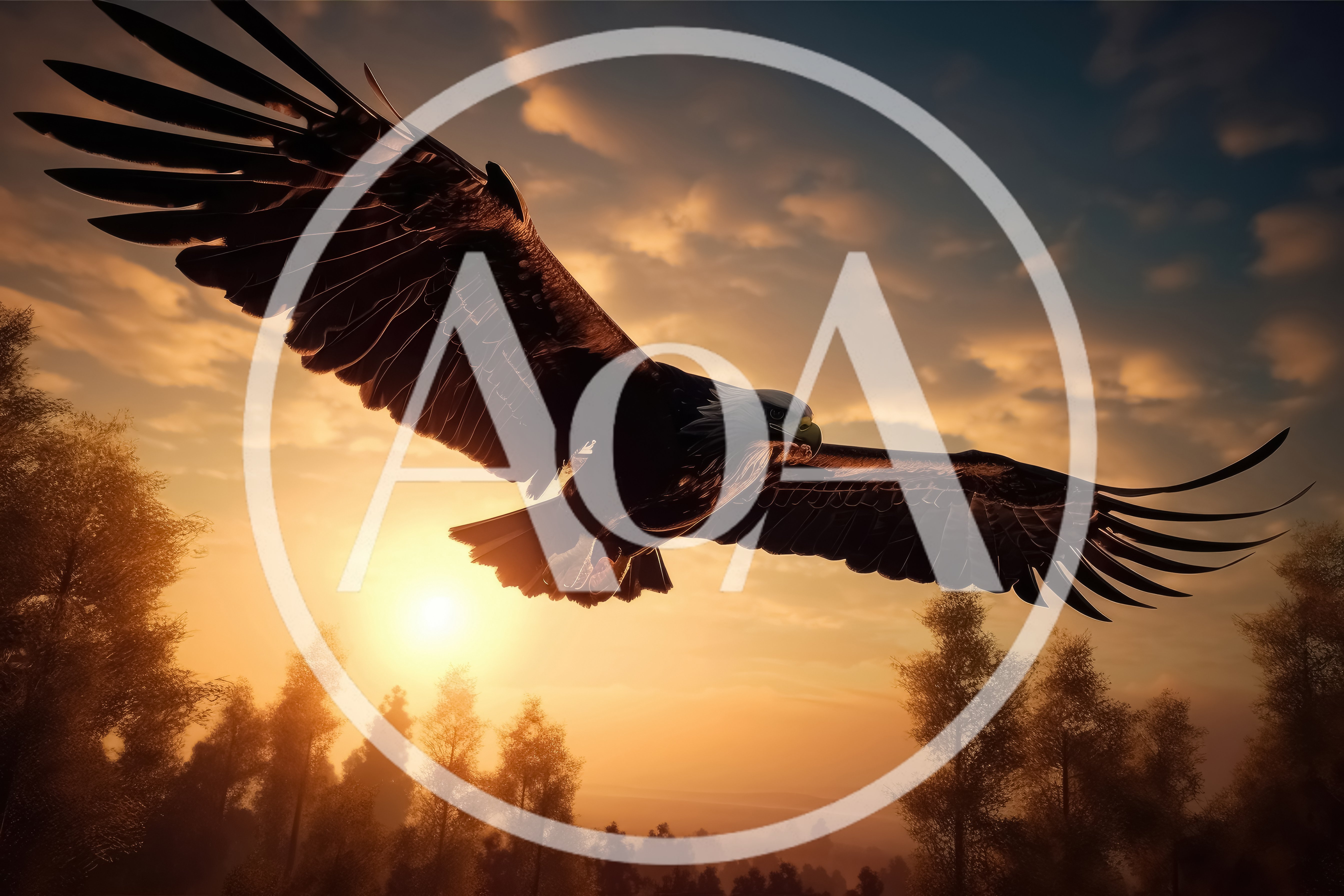 Majestic Bald Eagle Flying Over Forest At Sunset